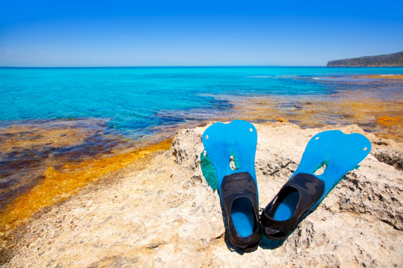 Formentera Flippers Europe Diving