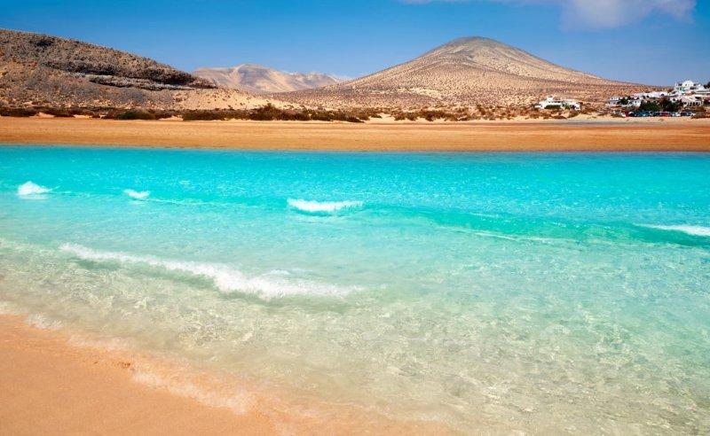 Sunny Fuerta Ventura 