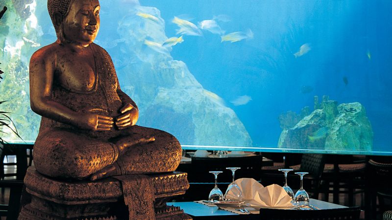 20 Best Restaurants in Greece 4 Best Restaurants in Greece Greece Kohylia Aquarium Best Restaurants in Greece