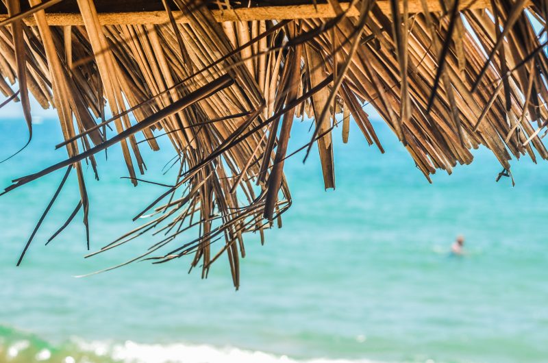 Why Book A Holiday Abroad? (Need a Reason?) 6 Why Book A Holiday Abroad michael mims 0ZL0O eDOpU unsplash Why Book A Holiday Abroad