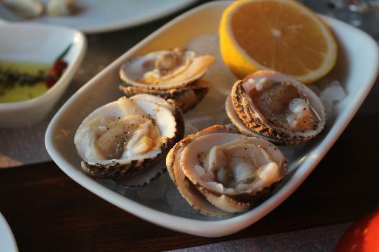 Top 20 Restaurants and Places to Eat in Turkey 4 orfoz restaurant