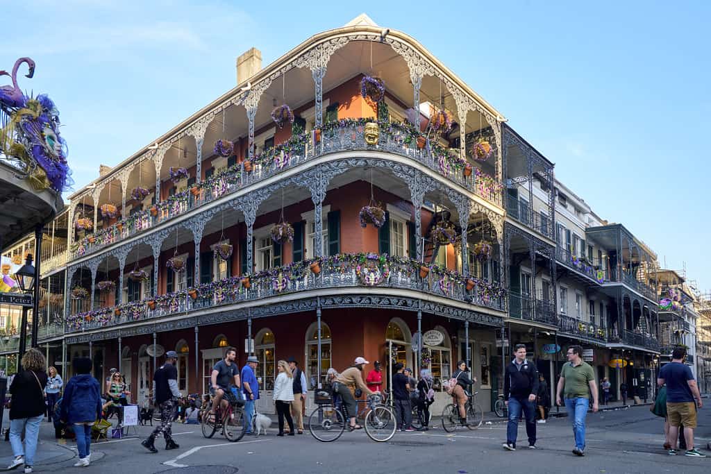 The Best Bars and Restaurants in The New Orleans 1 The Best Bars and Restaurants in The New Orleans 25237902597 301843534c b1 The Best Bars and Restaurants in The New Orleans