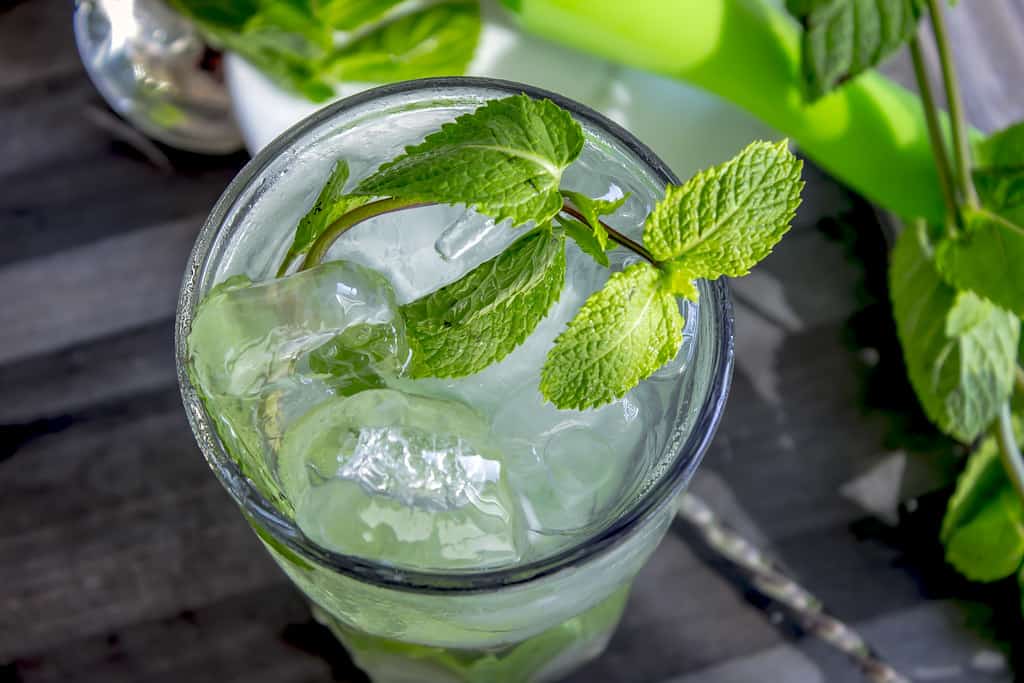 5 Cocktails Every Man Should Know How to Make 5 Cocktails Every Man Should Know How to Make 31702187896 cafcca3844 b1 Cocktails Every Man Should Know How to Make