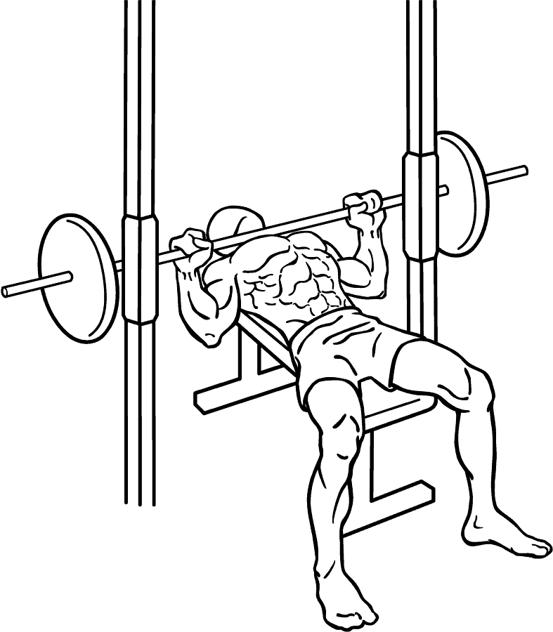 The Only 5 Exercises You'll Ever Need 1 Exercises Bench press 3 21 Exercises
