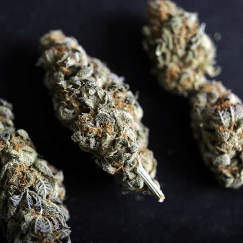 Marijuana Overdoses? 1 Marijuana Overdoses marijuana1 Marijuana Overdoses