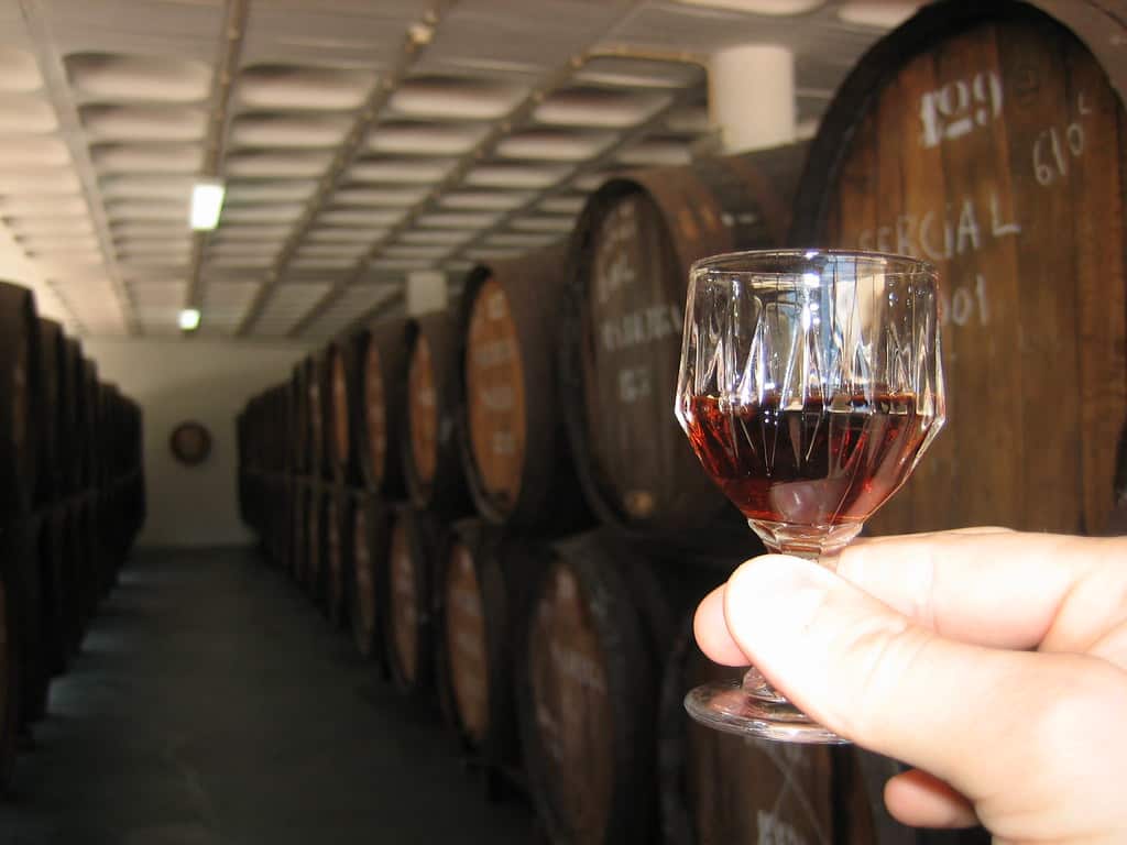 Win A Festive Gift Pack With Campo Viejo Wines 1 131515436 fd5b765f60 b1