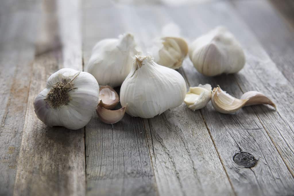 Do You Know the Ingredients in the Virility Diet? 10 37728230861 0bc4f0aaa2 b1