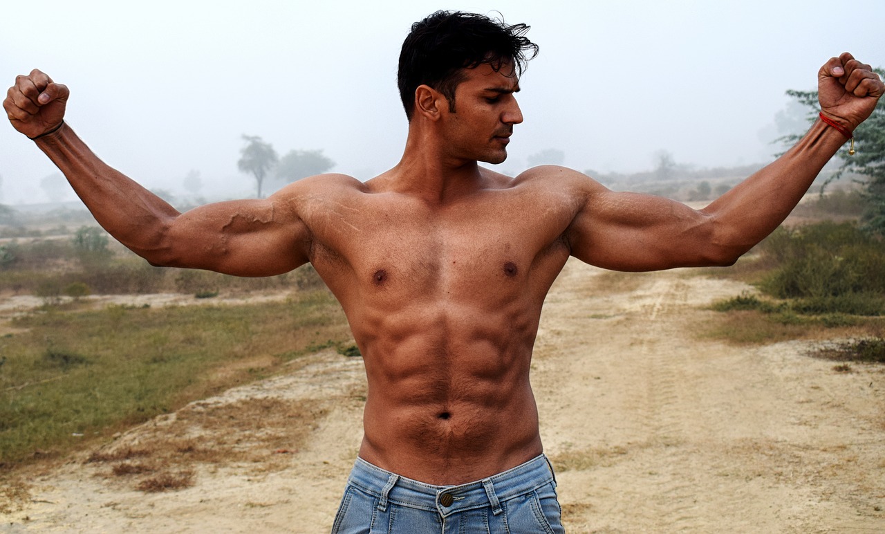 biceps 2945912 12801