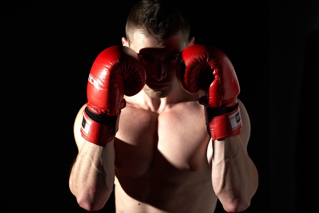 boxing 4339271 12801 Exercises