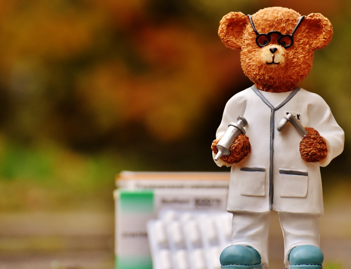 bear profession doctor