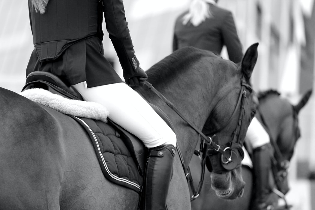 Horseback Riding1 Dandruff