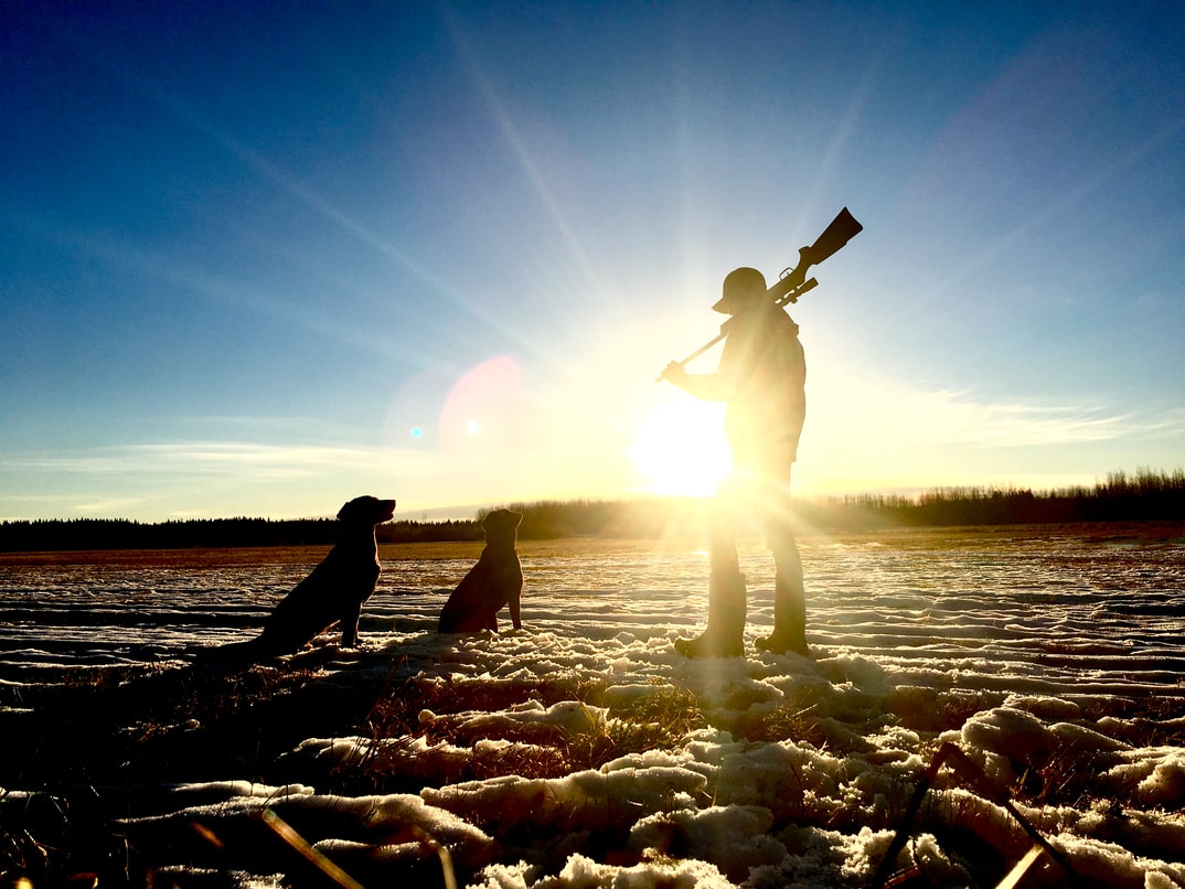 Night Hunting most manly sports