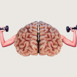 How The Muscle Memory Effect Helps Us Get Back In Shape